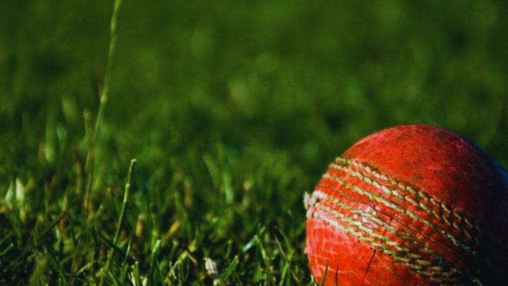 World Cup ball price