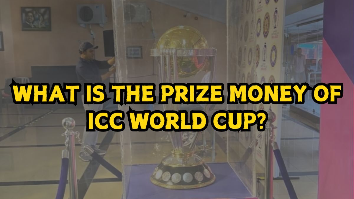 ICC world cup prize money 2024: How much do winners get?