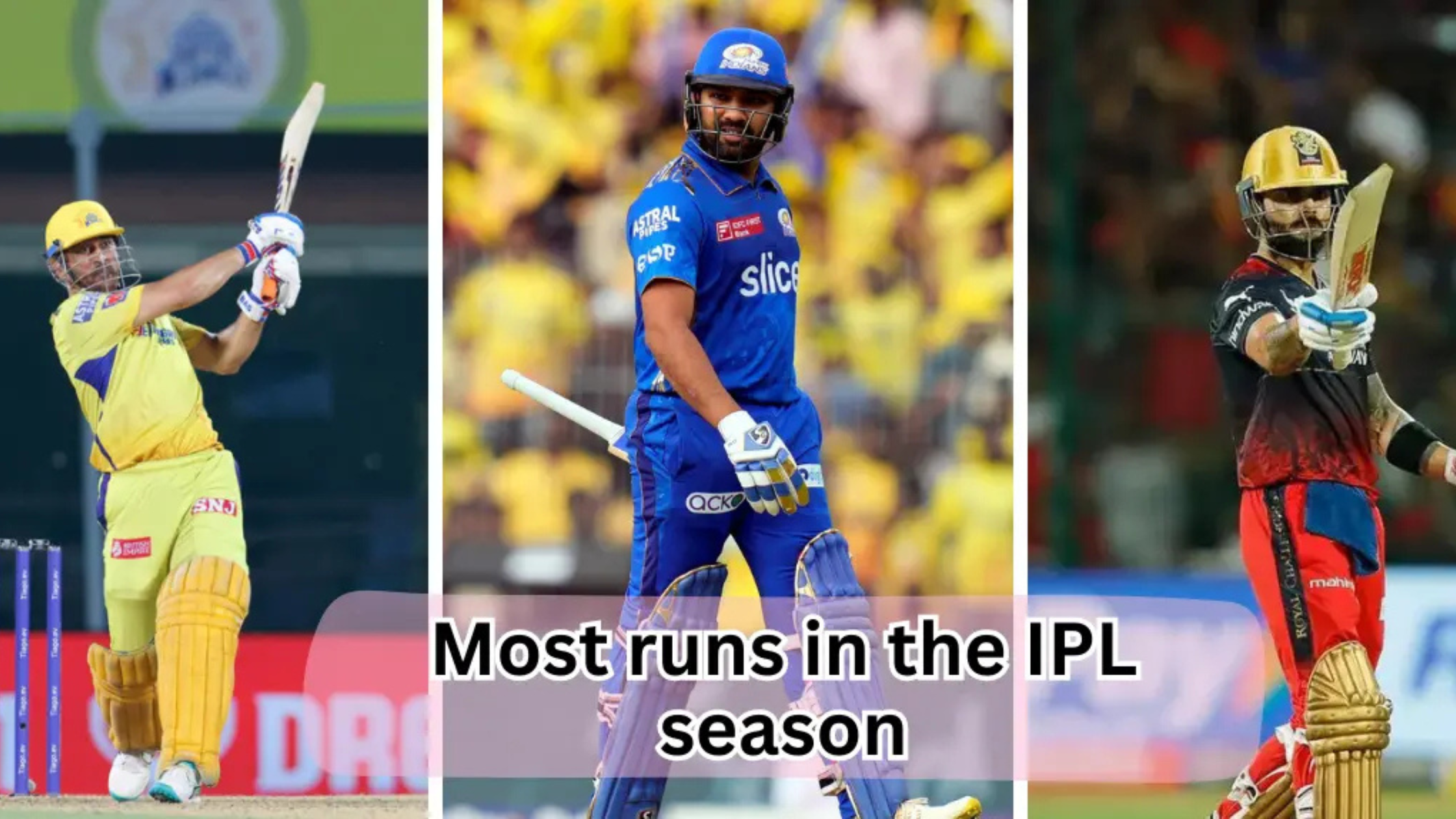 Most runs in the IPL season